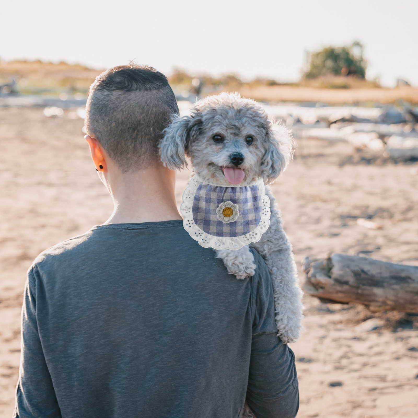 Pet Neckerchief Lace Bandana B - Bandana Cotton 评论和价格